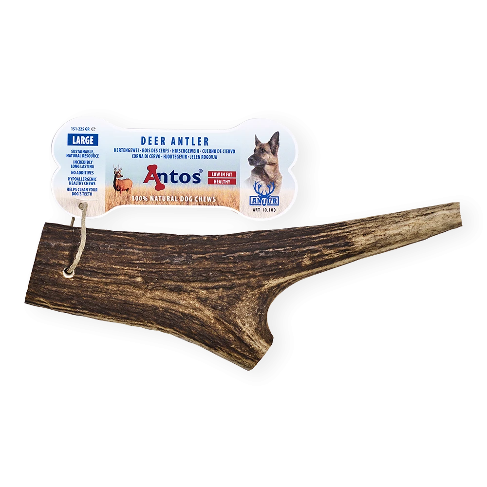 Gourmore Cuerno de Ciervo Large 151-225 gr