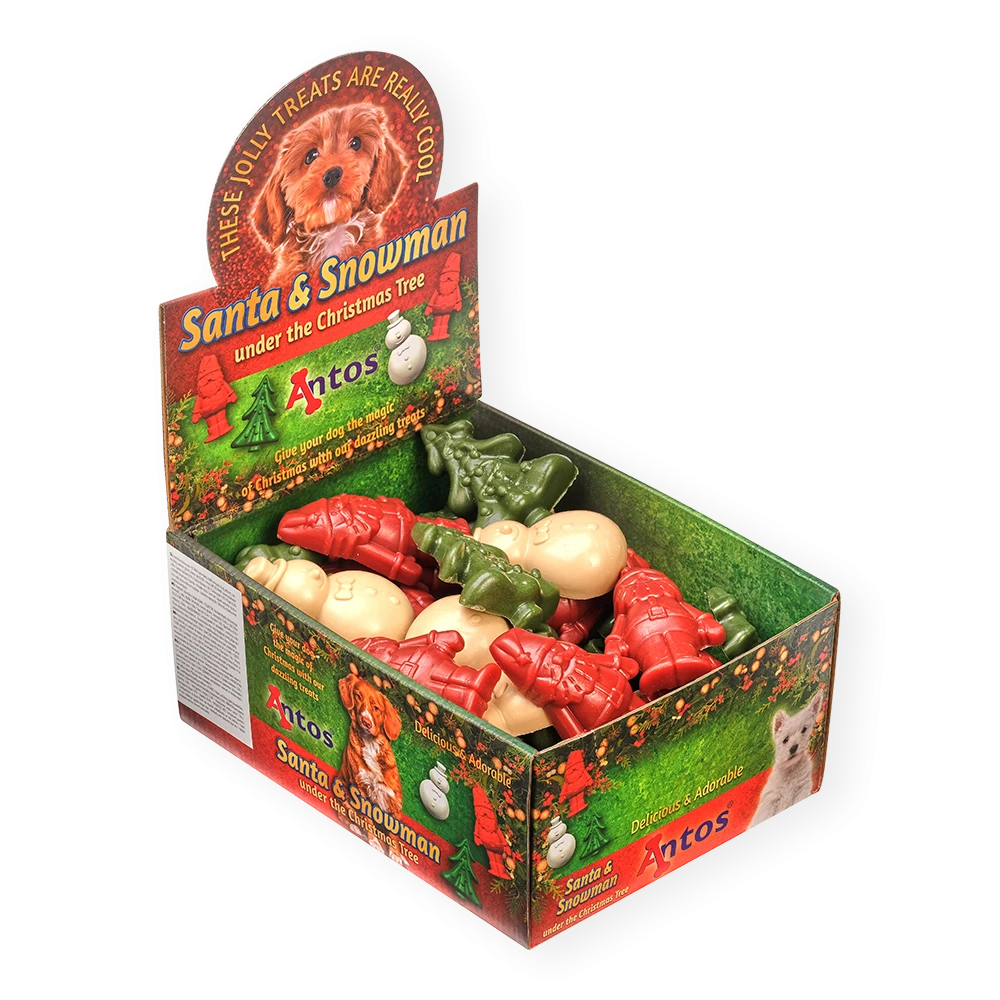 Papá Noel y el Muñeco de nieve