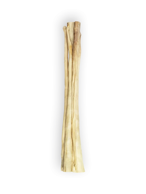 Cola de Carne de Vaca 30 cm