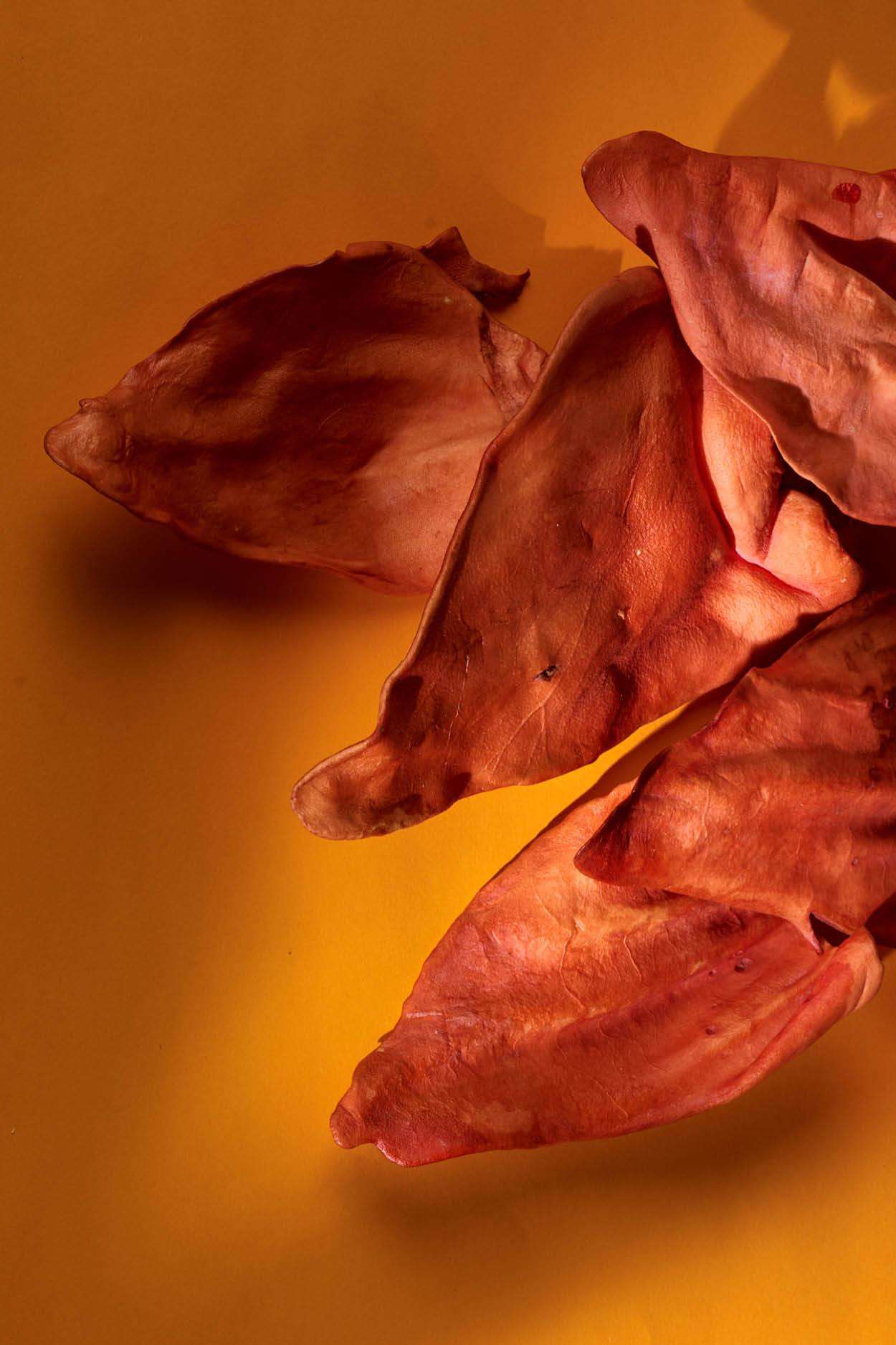 Snacks naturales para perros