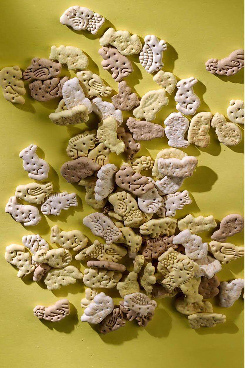 Aperitivos para cachorros