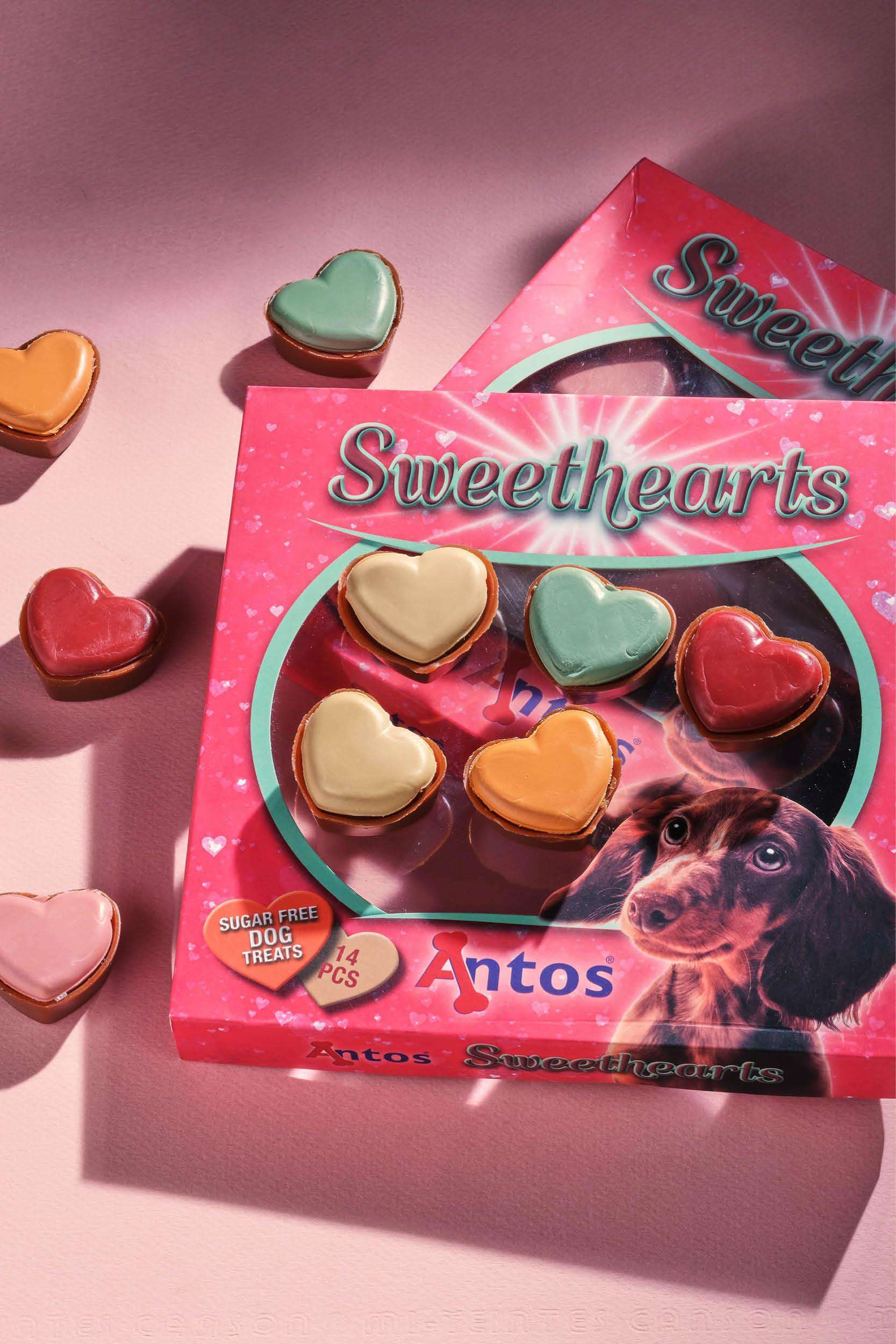 Día de San Valentín para perros