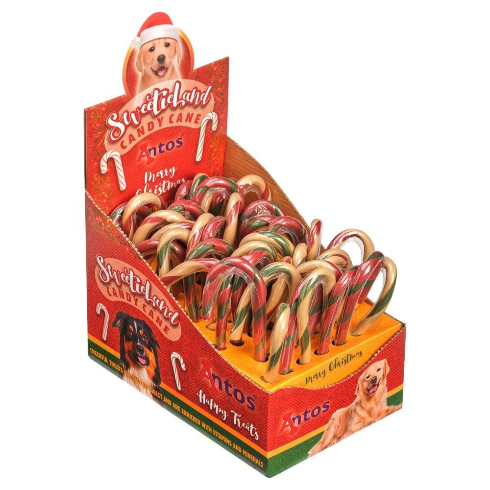 Bastón de caramelo de Dulcelandia 42 piezas