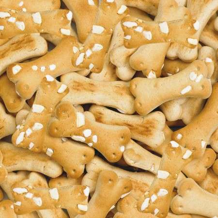 Biscuit Arroz Vainilla 10 kg