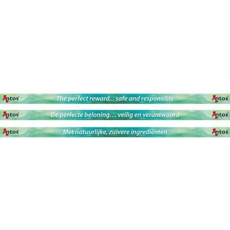 Tiras de estante 980x39 mm 10 piezas